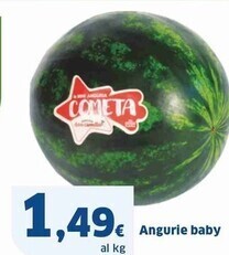 Sigma Angurie baby offerta