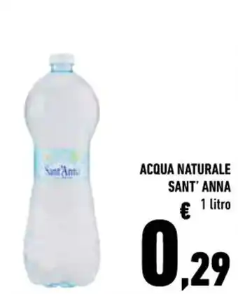 Conad ACQUA NATURALE SANT'ANNA 1 litro offerta