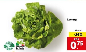 Lidl Lattuga offerta