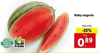 Lidl Baby anguria offerta