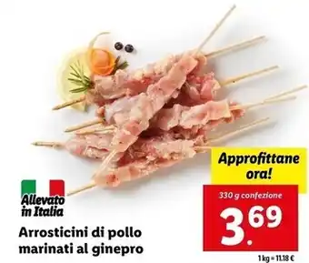Lidl Arrosticini di pollo marinati al ginepro offerta