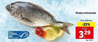 Lidl Orata eviscerata offerta
