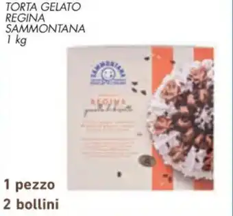 Spazio Conad TORTA GELATO MAGNUM REGINA ALGIDA SAMMONTANA 1 kg offerta