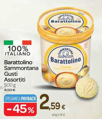 Carrefour Express Barattolino Sammontana Gusti Assortiti 500 g offerta