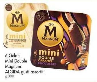 Famila Superstore 6 Gelati Mini Double Magnum ALGIDA gusti assortiti g 300 offerta