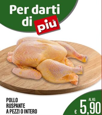 POLLO RUSPANTE A PEZZI O INTERO