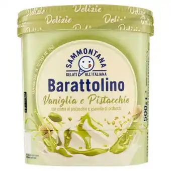 Coop Gelato barattolino le delizie sammontana offerta