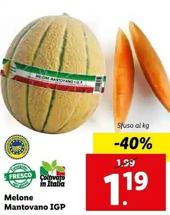 Lidl Melone offerta