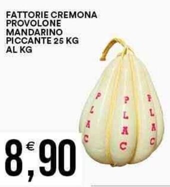 Vantaggio Cash&Carry FATTORIE CREMONA PROVOLONE MANDARINO PICCANTE 25 KG AL KG offerta