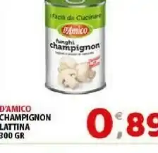 D' Amico Champignon Lattina
