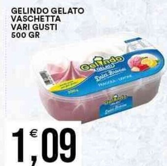 Vantaggio Cash&Carry GELINDO GELATO VASCHETTA VARI GUSTI 500 GR offerta