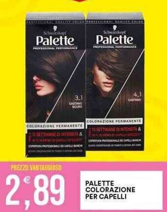 PALETTE COLORAZIONE PER CAPELLI