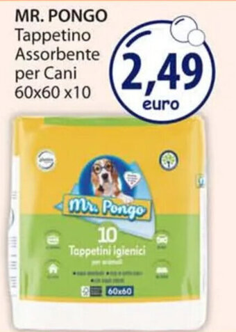 MR. PONGO Tappetino Assorbente per Cani 60x60 x10