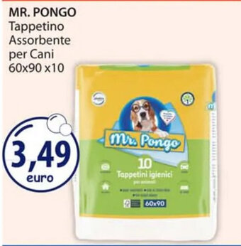 Acqua & Sapone MR. PONGO Tappetino Assorbente per Cani 60x90 x10 offerta
