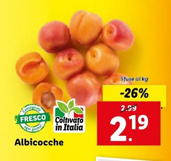 Lidl Albicocche offerta