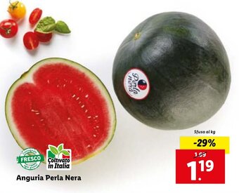 Lidl Anguria Perla Nera offerta