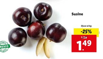 Lidl Susine offerta