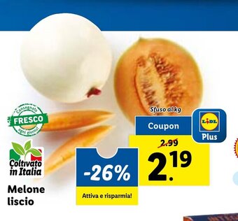 Lidl Melone liscio offerta