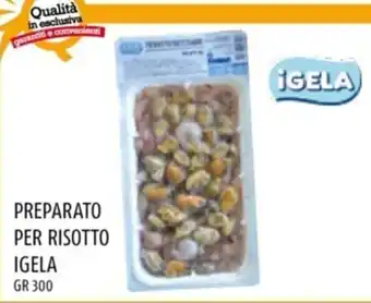 Il Centesimo PREPARATO PER RISOTTO IGELA gr 300 offerta