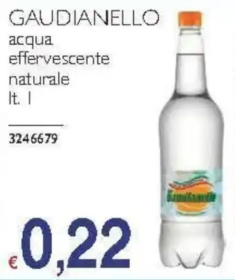 GAUDIANELLO acqua effervescente naturale lt. 1