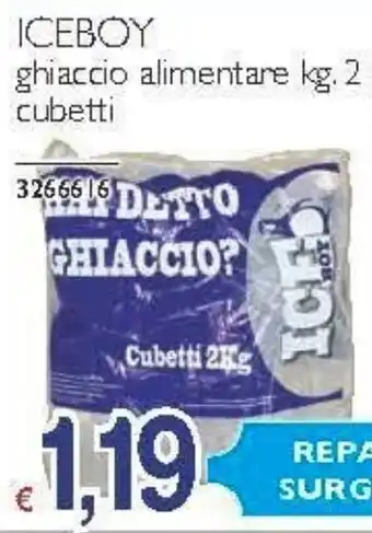 Stop&Shop ICEBOY ghiaccio alimentare kg. 2 offerta