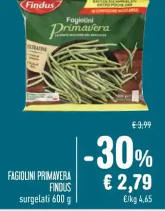 Spazio Conad FAGIOLINI PRIMAVERA FINDUS surgelati 600 g offerta