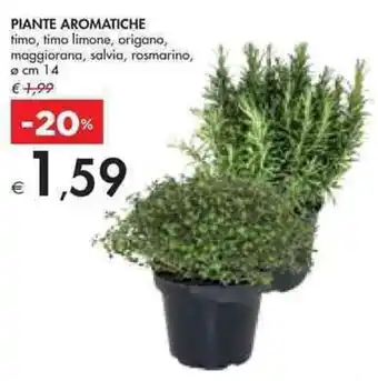 Bennet PIANTE AROMATICHE offerta