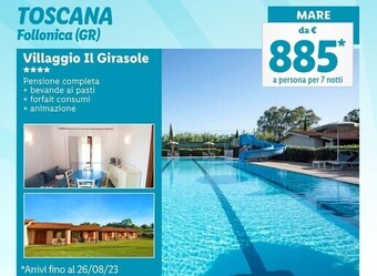 Lidl Villaggio il girasole offerta