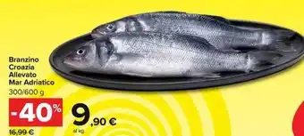 Spazio Conad Polase plus offerta