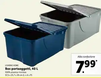 Lidl Box Portaoggetti offerta