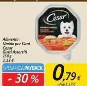 Carrefour Market Cesar alimento umido per cani offerta