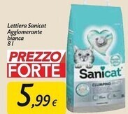 Carrefour Market Sanicat lettiera agglomerante bianca offerta