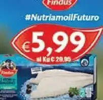 DEM Findus Fiori Di Branzino offerta