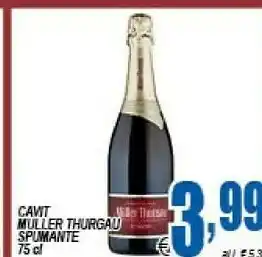 DEM Cavit Muller Thurgau Spumante offerta