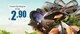 Elite Cozze Sardegna offerta