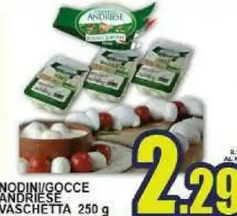 Gros Andriese Nodini Vaschetta offerta