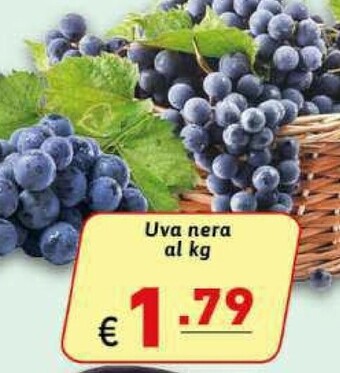 Gros Uva Nera offerta