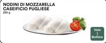 Coop NODINI DI MOZZARELLA CASEIFICIO PUGLIESE 250 g offerta