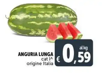 Deco Maxistore ANGURIA LUNGA offerta