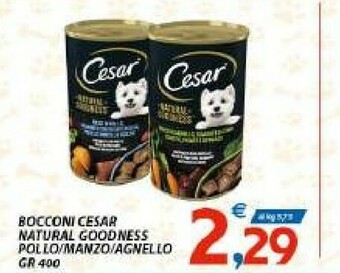Vivo Supermercati Cesar Cibo per cani offerta