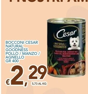 Vivo Supermercati Cesar Cibo per cani offerta