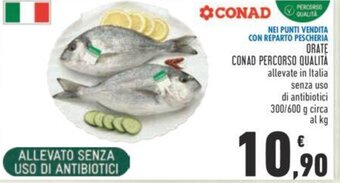 Conad Orate CONAD PERCORSO QUALITA 300/600 g circa offerta