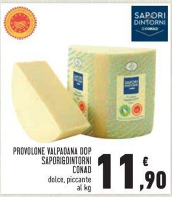 Conad PROVOLONE VALPADANA DOP SAPORI&DINTORNI CONAD offerta