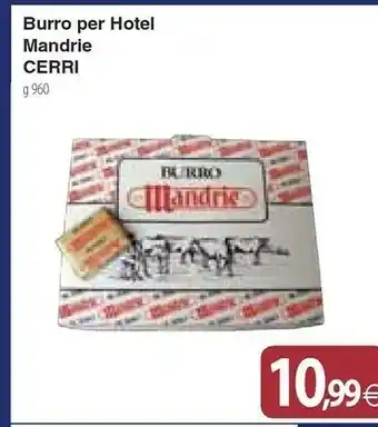 Docks Cash&Carry Cerri Burro offerta