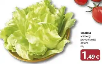 Docks Cash&Carry Insalata offerta