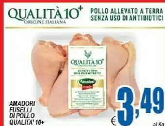 DEM Amadori Fuselli Di Pollo Qualit 10+ offerta