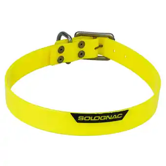 Collare cane giallo fluo 500