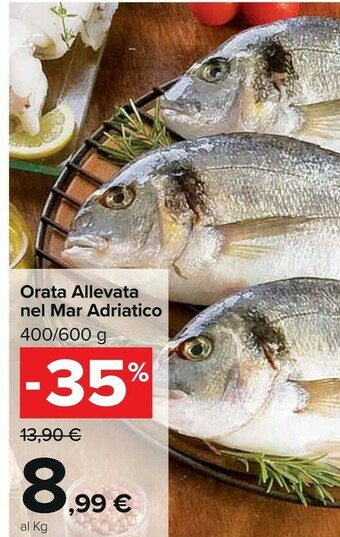 Carrefour Market Orata Allevata Nel Mar Adriatico offerta