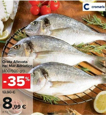 Carrefour Orata Allevata Nel Mar Adriatico offerta