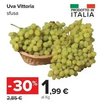 Uva Vittoria